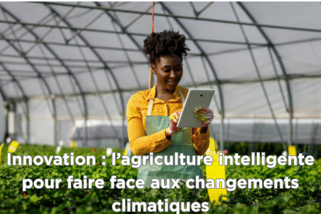 article no3 innovation (6)