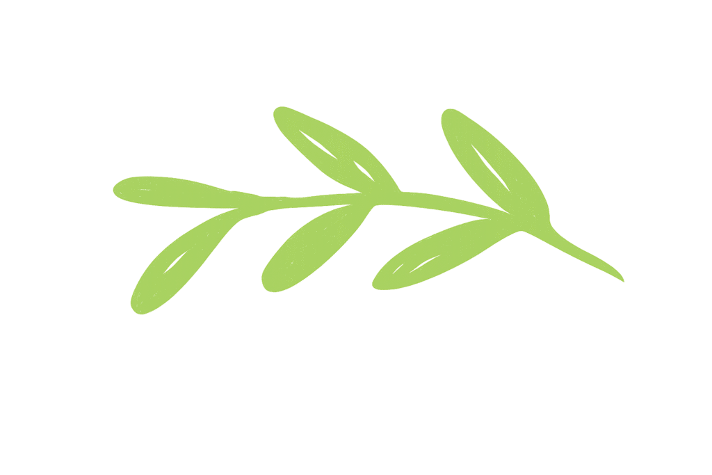 photo plante transparent