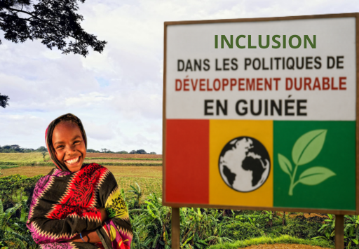 inclusion developpement durable guinee